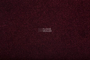 Ковролин Condor Bounty 20 фото 1 | FLOORDEALER